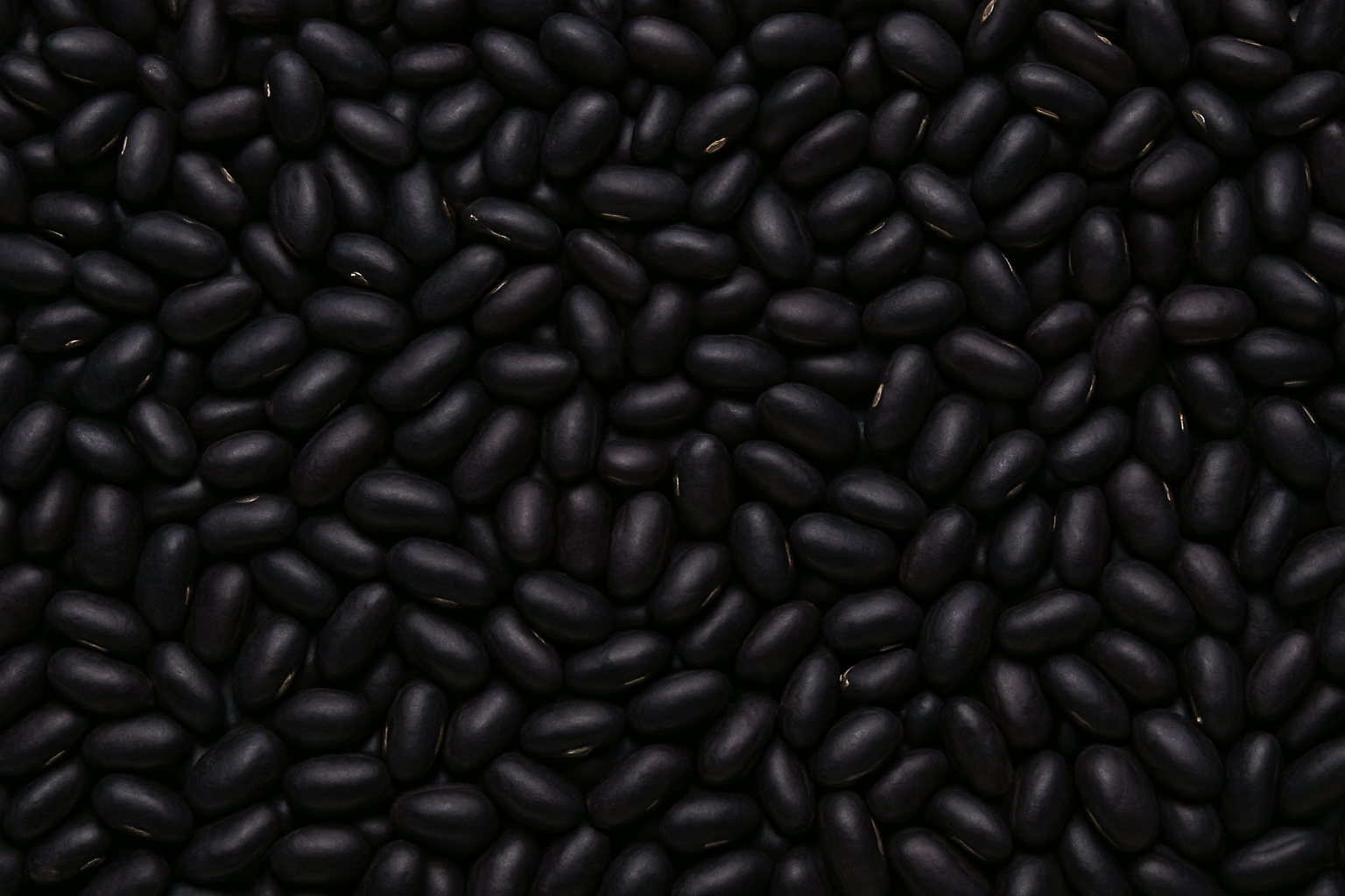 Frijoles