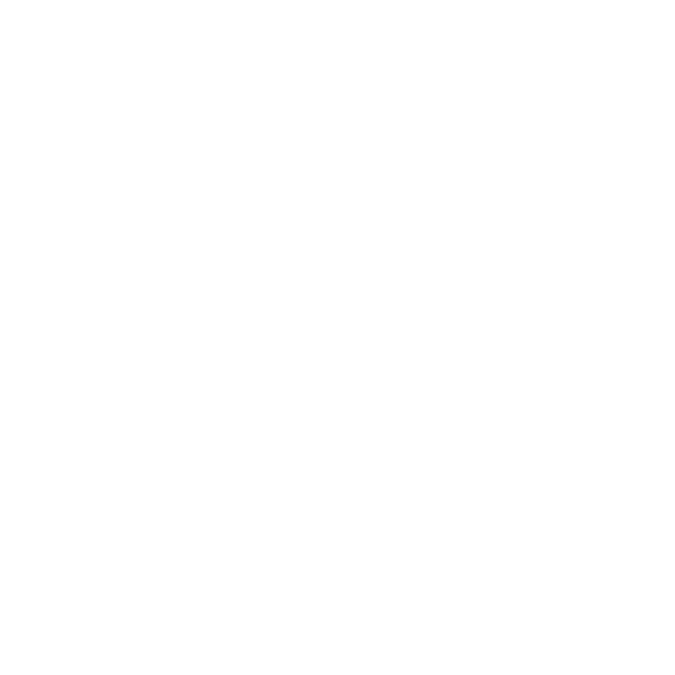 Andean Exports Logo